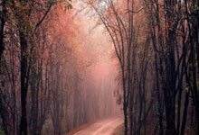 股票上市交易:股票配资在线-华尔街最乐观预测！Evercore ISI：AI热潮将推动美股明年再涨20%